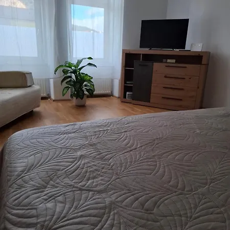 Leoben Citylight Apartment *